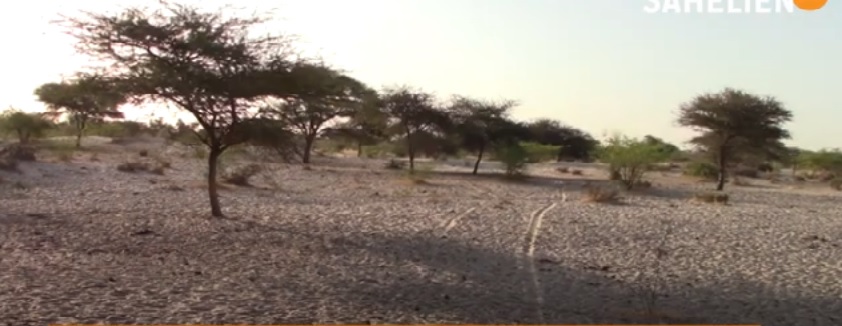Video Background image