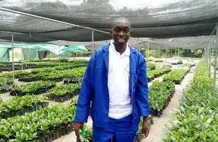 Mooto Cashew nursery
