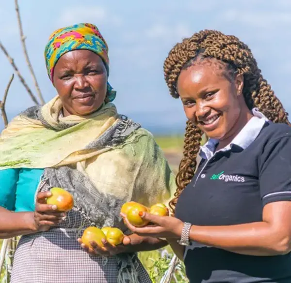 Democratizing Fertilizer Production For Higher Yields In Kenya