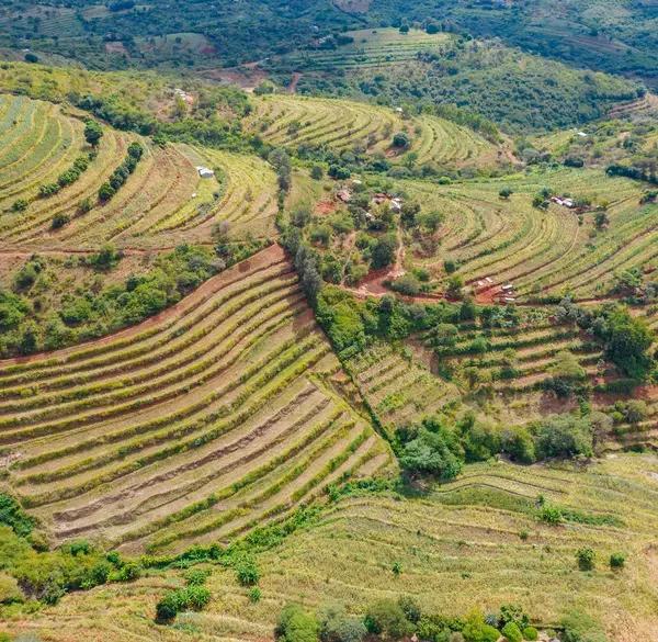 Landscape under restoration in Makueni County, Kenya