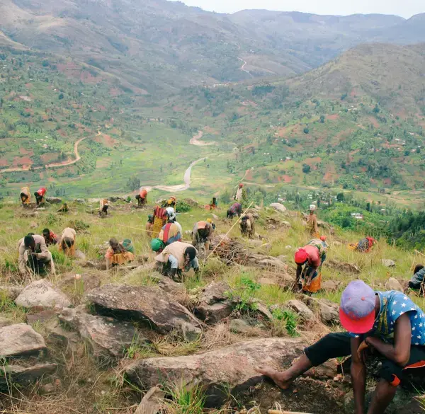 Community Tree Planting_Burundi_Plant With Purpose
